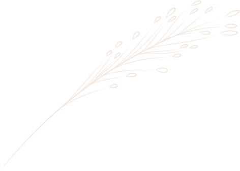 functionhall